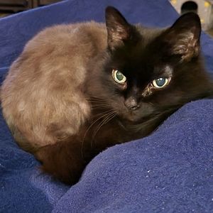 Meet your Posher, Heidi